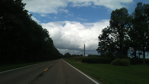 Discount Store «Dollar General», reviews and photos, 9580 US-641, Puryear, TN 38251, USA