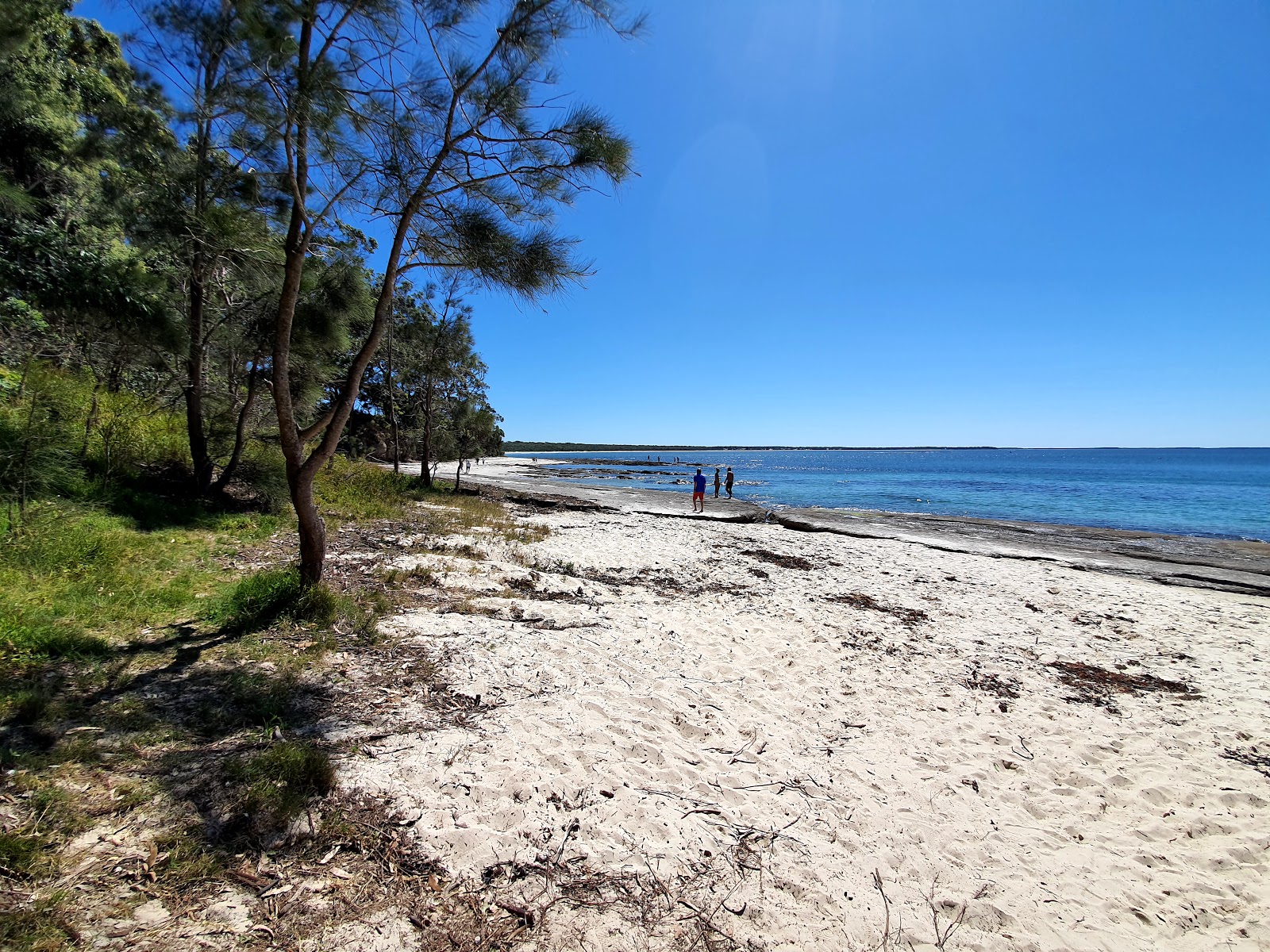 Shark Net Beach photo #7