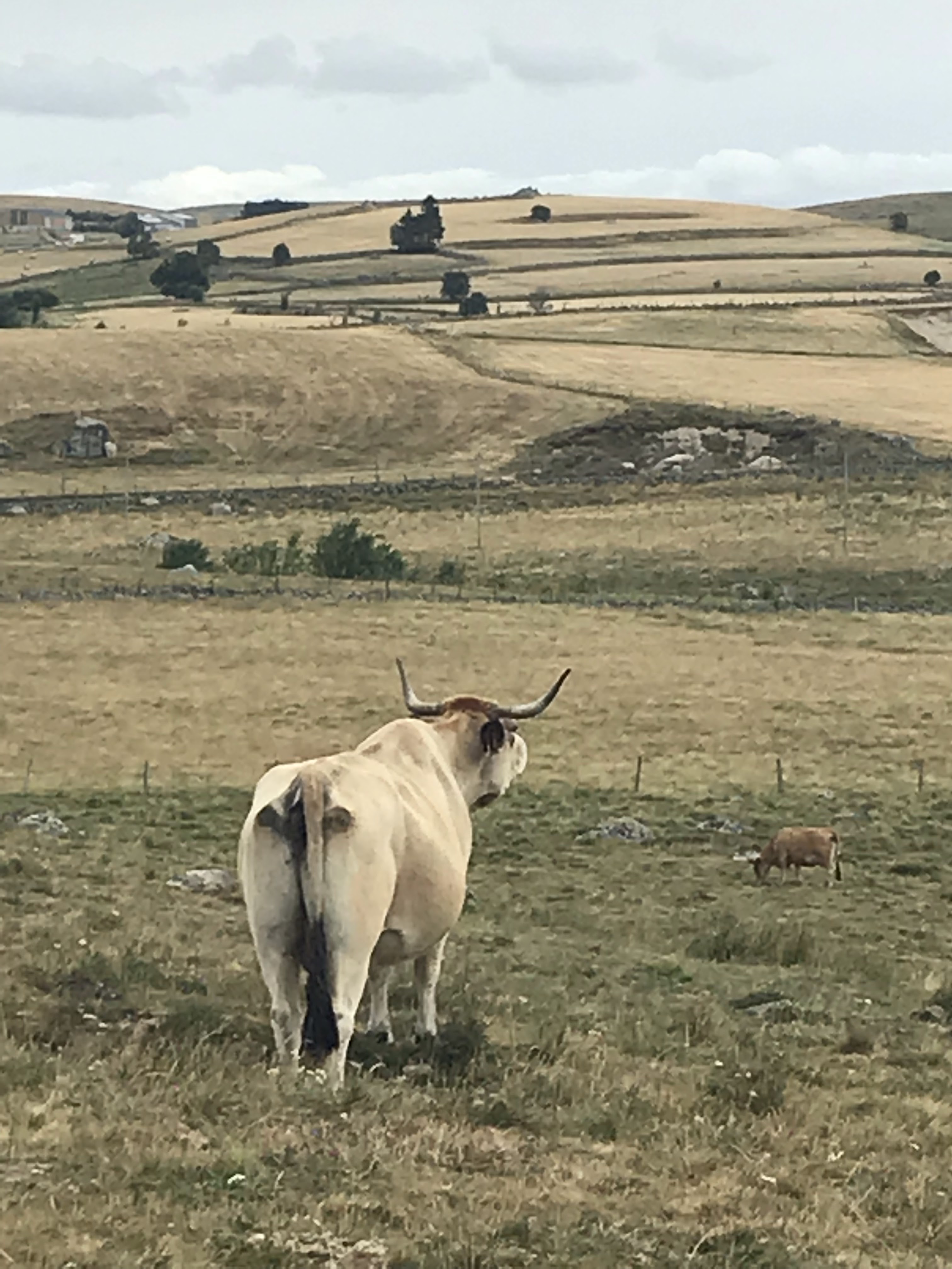 Photo n° 4 de l'avis de Corinne.o fait le 31/07/2019 à 09:51