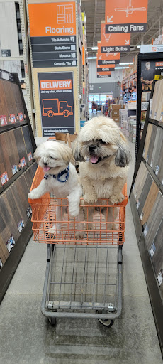 Home Improvement Store «The Home Depot», reviews and photos, 870 Woodstock Rd, Roswell, GA 30075, USA