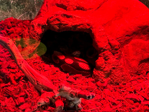 Science Museum «Connecticut Science Center», reviews and photos, 250 Columbus Blvd, Hartford, CT 06103, USA