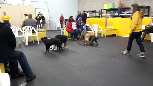 Sit Happens! Companion Dog Training