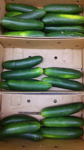 Supermarket «ALDI», reviews and photos, 4745 US Hwy 98 N, Lakeland, FL 33809, USA