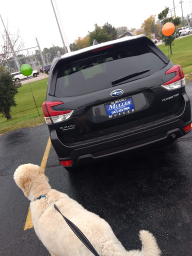 Subaru Dealer «Muller Subaru», reviews and photos, 1350 Park Ave W, Highland Park, IL 60035, USA