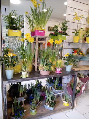 Iris 2000 à Hyères
