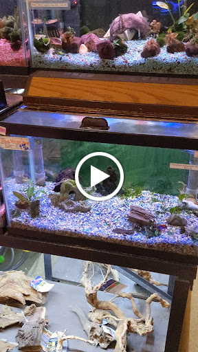 Pet Store «Aqualand Aquarium Center», reviews and photos, 5355 Chicago Ave, Minneapolis, MN 55417, USA