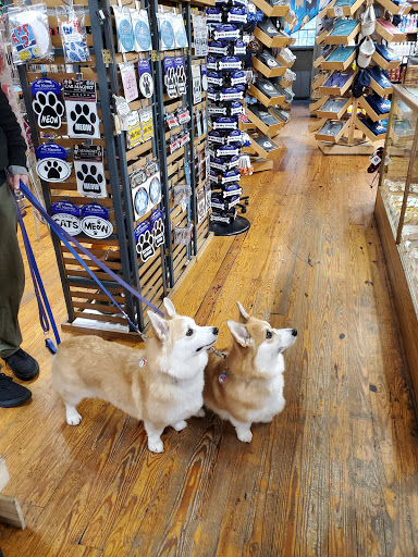 Pet Supply Store «Bark Harbor», reviews and photos, 150 Main St # 3, Bar Harbor, ME 04609, USA