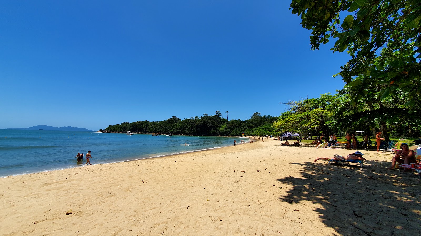Foto de Praia do Pulso área selvagem