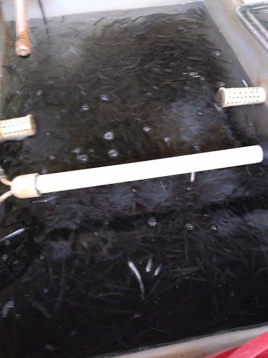 Hunting and Fishing Store «FISHING TACKLE GRAB BAG», reviews and photos, 5521 N State Rd, Davison, MI 48423, USA