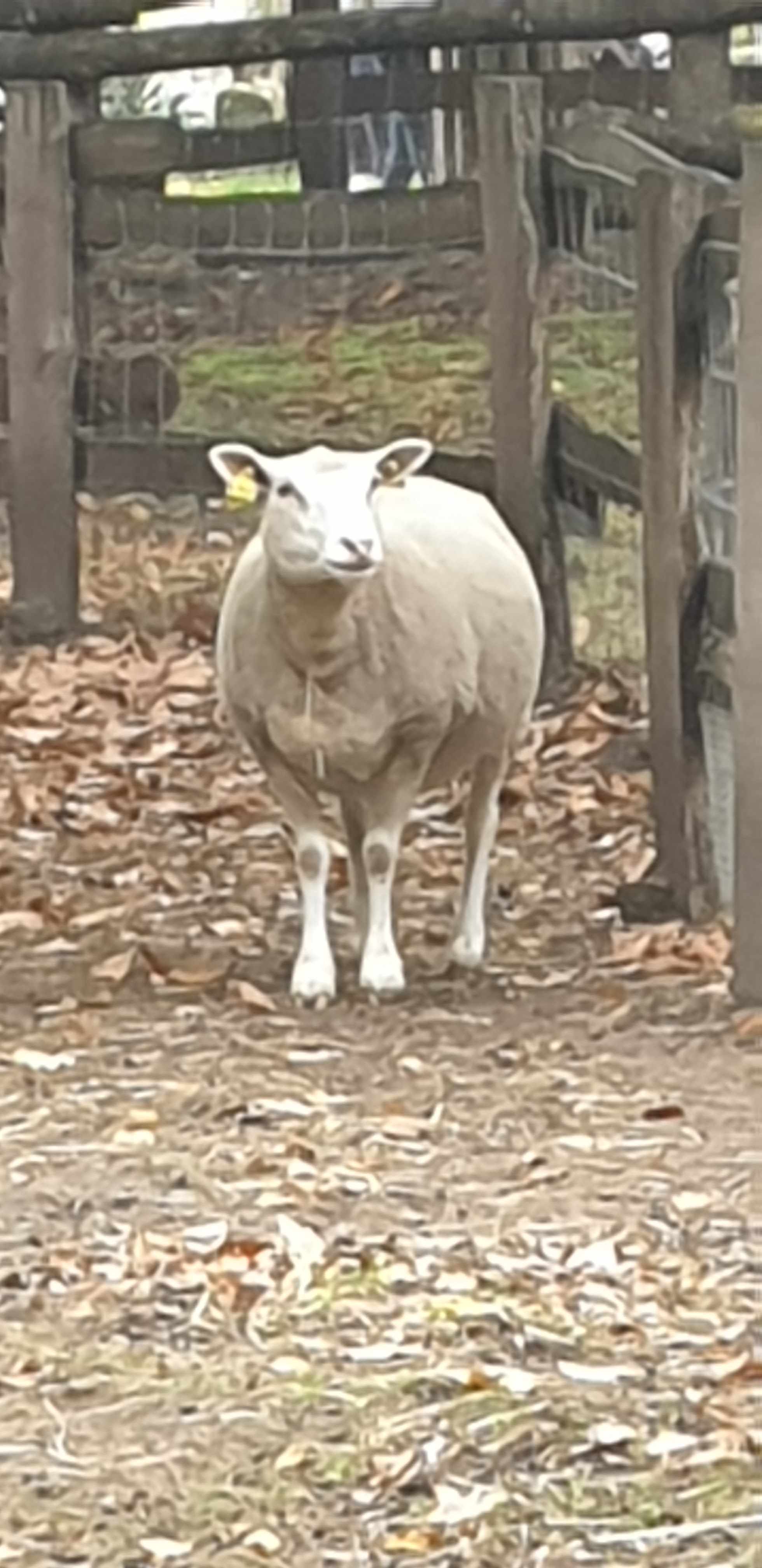 Photo n° 18 de l'avis de Julien.' fait le 23/10/2019 à 14:35