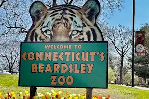 Connecticut's Beardsley Zoo image