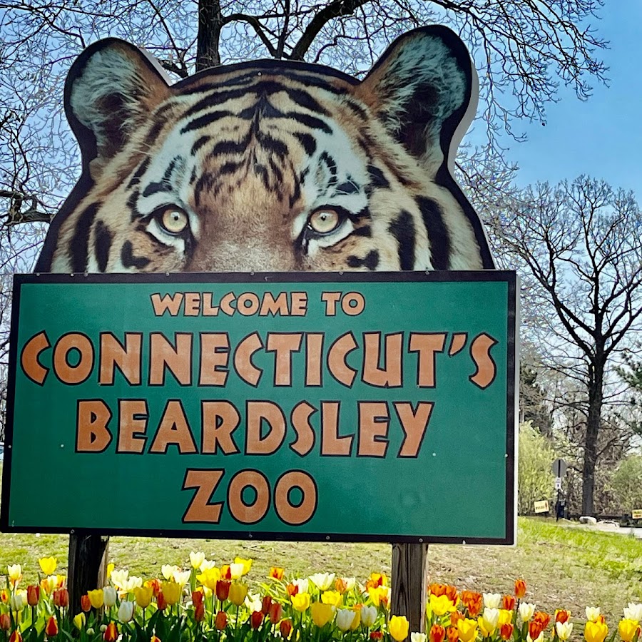 Connecticut's Beardsley Zoo