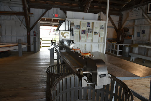 History Museum «Chesapeake Bay Maritime Museum», reviews and photos, 213 North Talbot Street, St Michaels, MD 21663, USA