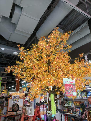 Toy Store «Houston St Toy Store», reviews and photos, 309 Houston St, Fort Worth, TX 76102, USA