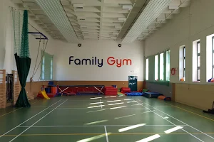 Family Gym Ltd. image