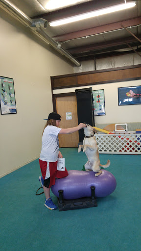 Pet Supply Store «Four Legs Pets Gilberts», reviews and photos, 133 E Higgins Rd, Gilberts, IL 60136, USA