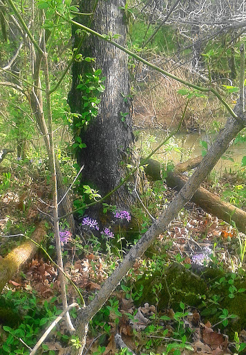 Golf Course «Harpeth Valley Golf Center», reviews and photos, 7629 Old Harding Pike, Nashville, TN 37221, USA