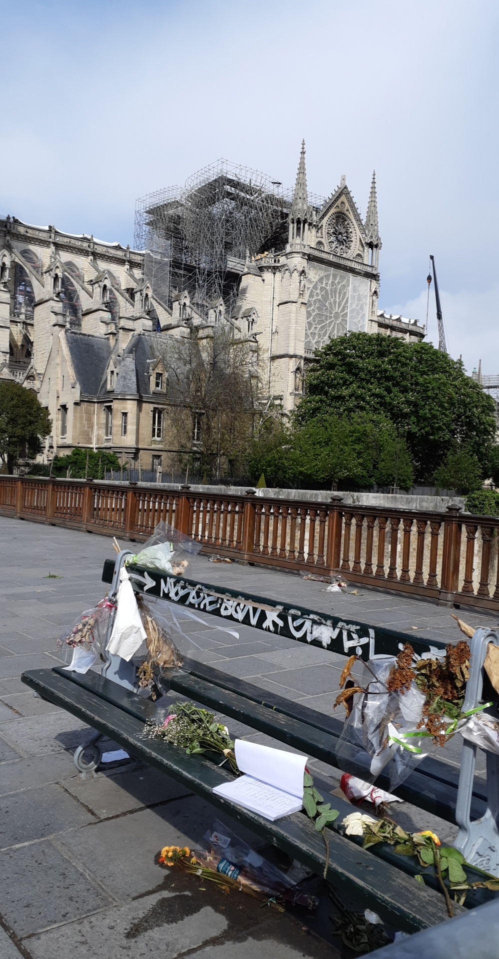 Photo n° 2 de l'avis de Alex.e fait le 08/05/2019 à 10:40