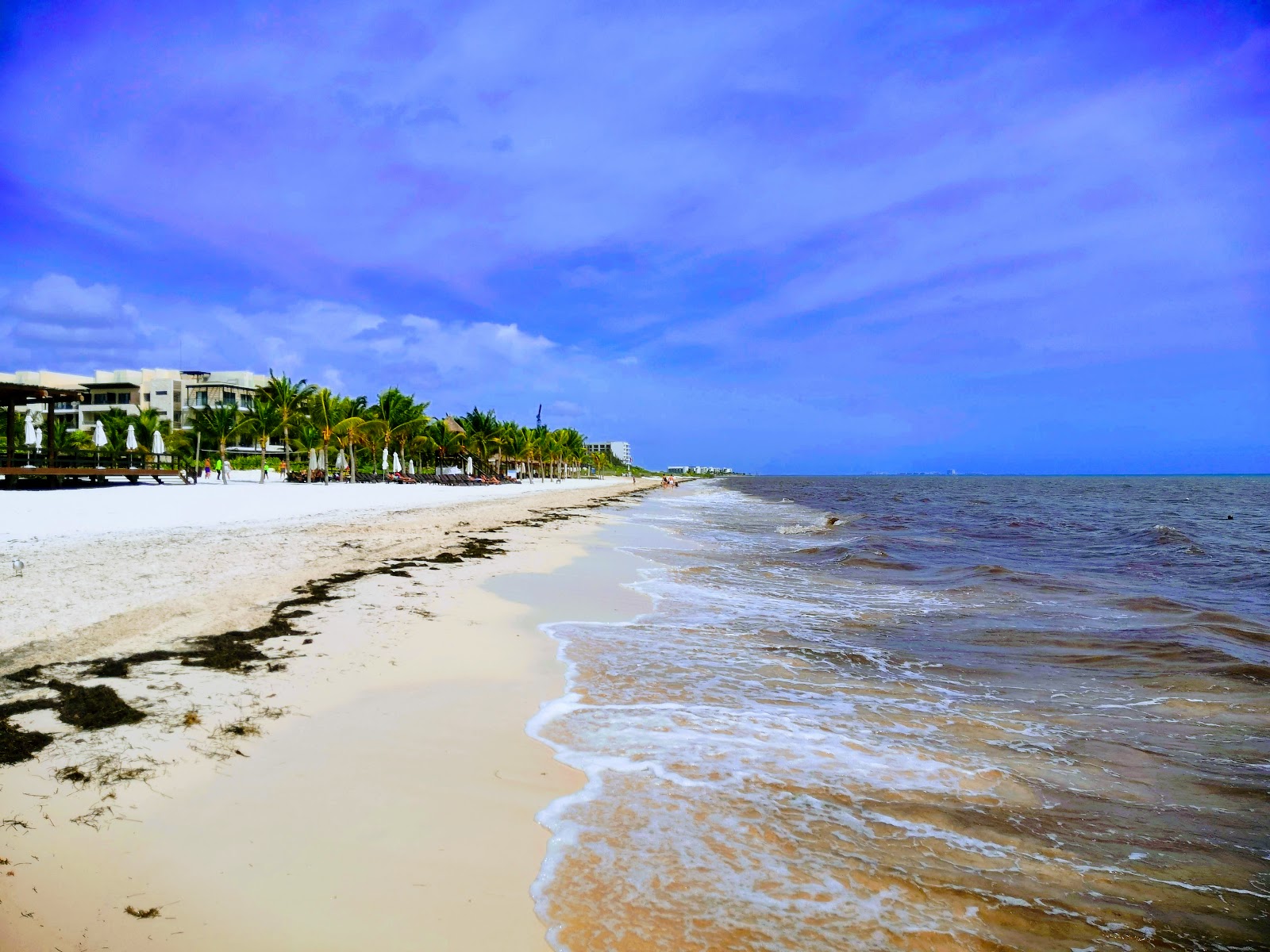Foto av Royalton Riviera Cancun med lång rak strand