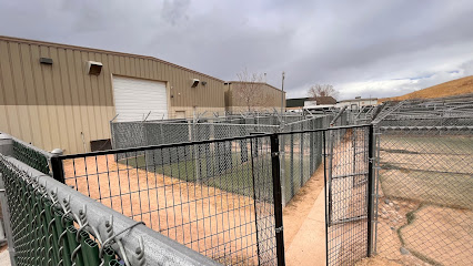 A Paw Above Canine Boarding Service