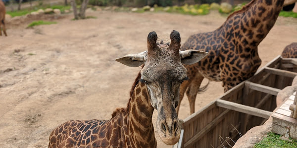 Santa Barbara Zoo