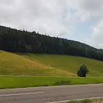 Photo n°14 de l'avis de Caro.c fait le 16/07/2023 à 18:15 sur le  Holzschlägermatte à Freiburg im Breisgau