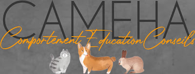 Cameha Educateur Canin Comportementaliste Chien Chat Lapin à Dauendorf