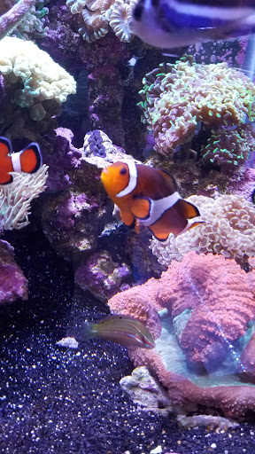 Pet Store «Ark Pet Shop», reviews and photos, 2400 W Lincoln Hwy, Merrillville, IN 46410, USA