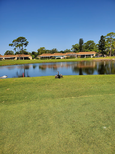 Golf Course «IMG Academy Golf Club», reviews and photos, 4350 El Conquistador Pkwy, Bradenton, FL 34210, USA