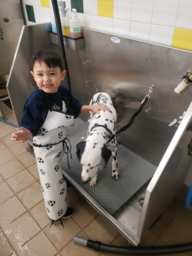 Pet Supply Store «Pet Supplies Plus», reviews and photos, 720 E Ogden Ave, Naperville, IL 60563, USA