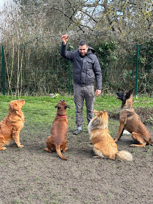 Au Royaume Des Petits Vikings - Pension et garde chien - Oise à Trie-Château