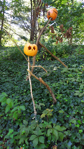 Gift Shop «NYBG Shop», reviews and photos, 2900 Southern Blvd, Bronx, NY 10458, USA