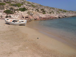 Tent beach'in fotoğrafı vahşi alan