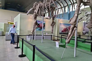 Museo de Paleontologia y Arqueología de Estanzuela image