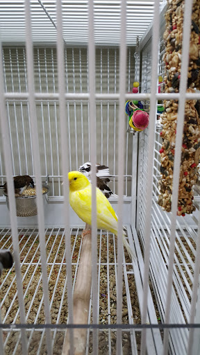 Pet Supply Store «Pet Supplies Plus», reviews and photos, 135-25 79th St, Howard Beach, NY 11414, USA