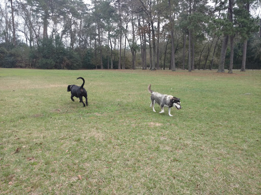 Dog Park «Maxey Park», reviews and photos, 601 Maxey Rd, Houston, TX 77013, USA