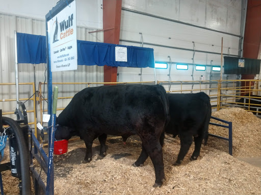 Fairground «Buffalo County Fairgrounds», reviews and photos, 3807 Avenue N, Kearney, NE 68847, USA