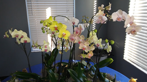 Community Center «Lake Mary Community Center», reviews and photos, 140 E Wilbur Ave, Lake Mary, FL 32746, USA