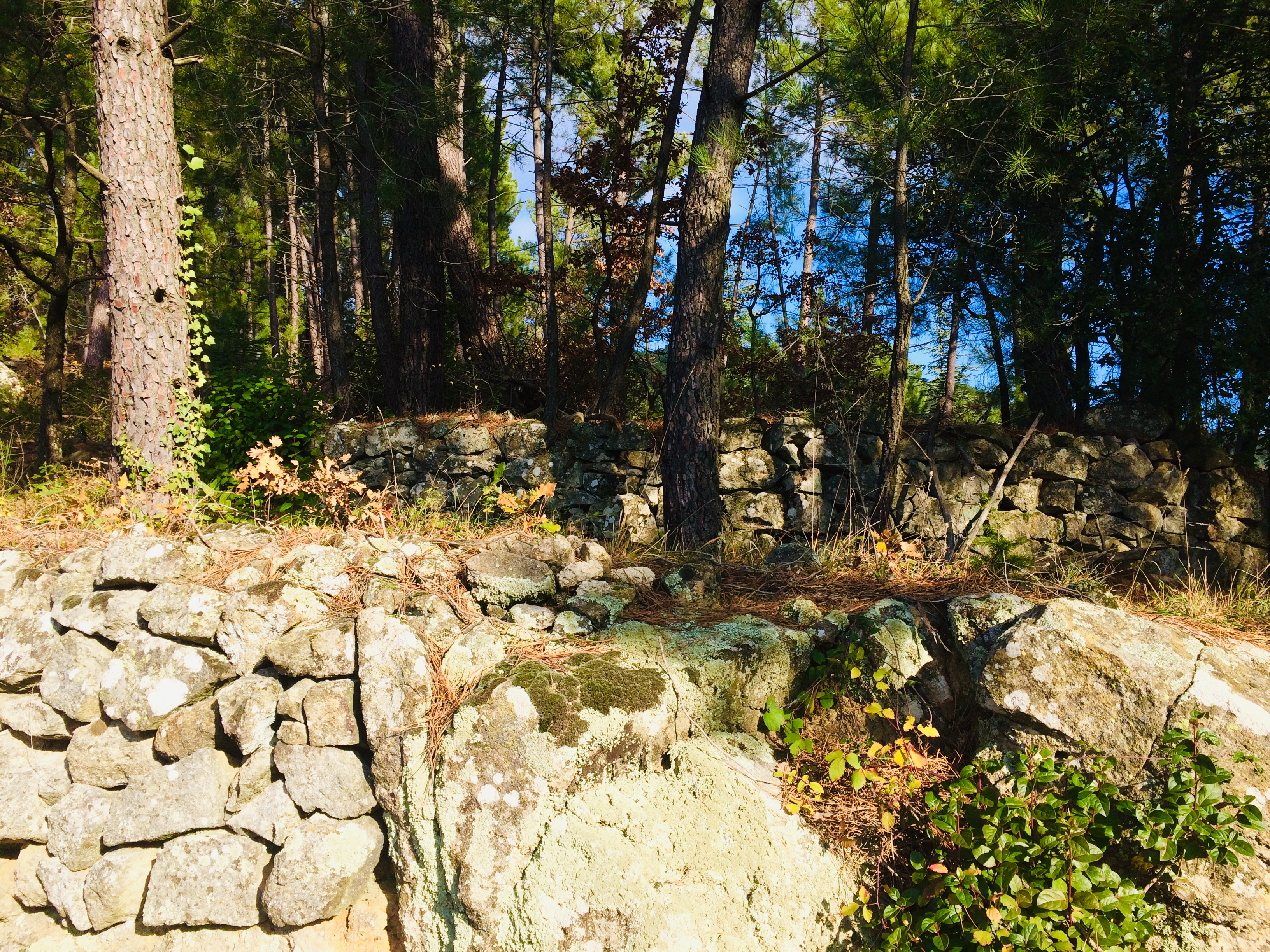 Photo n° 8 de l'avis de HELENE.N fait le 05/01/2019 à 11:51