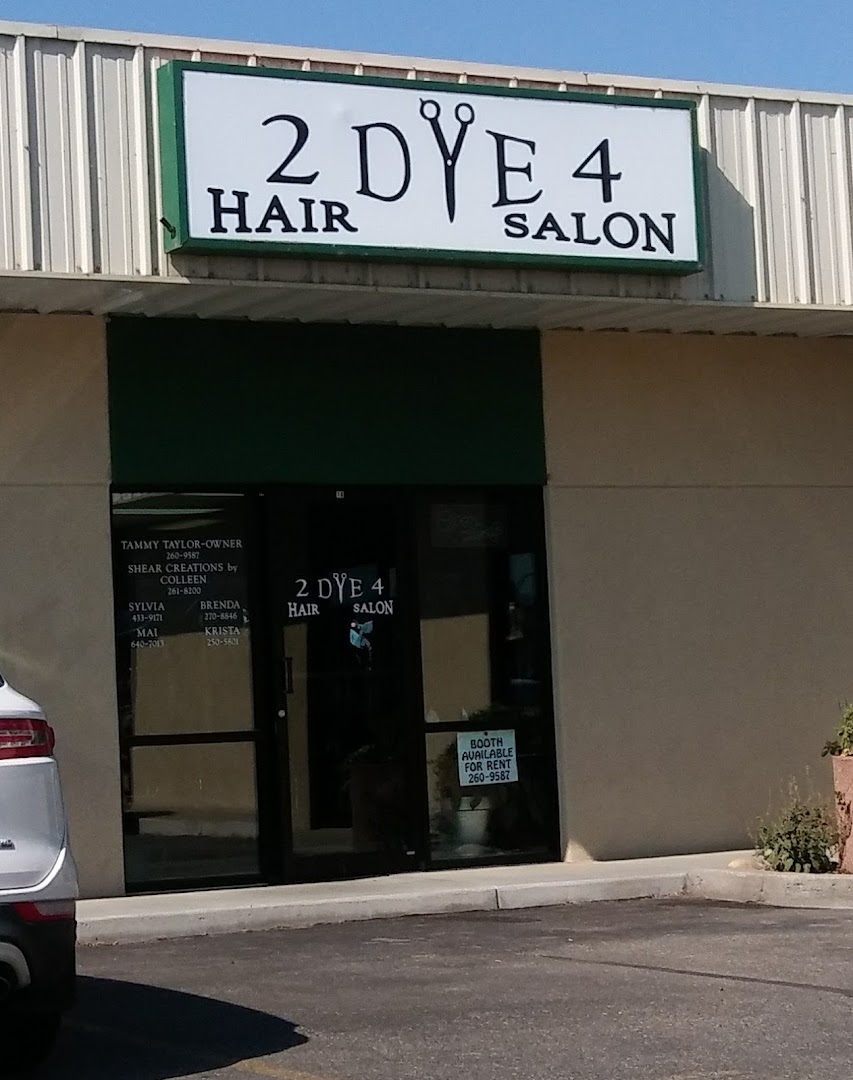 2 Dye 4 Hair Salon