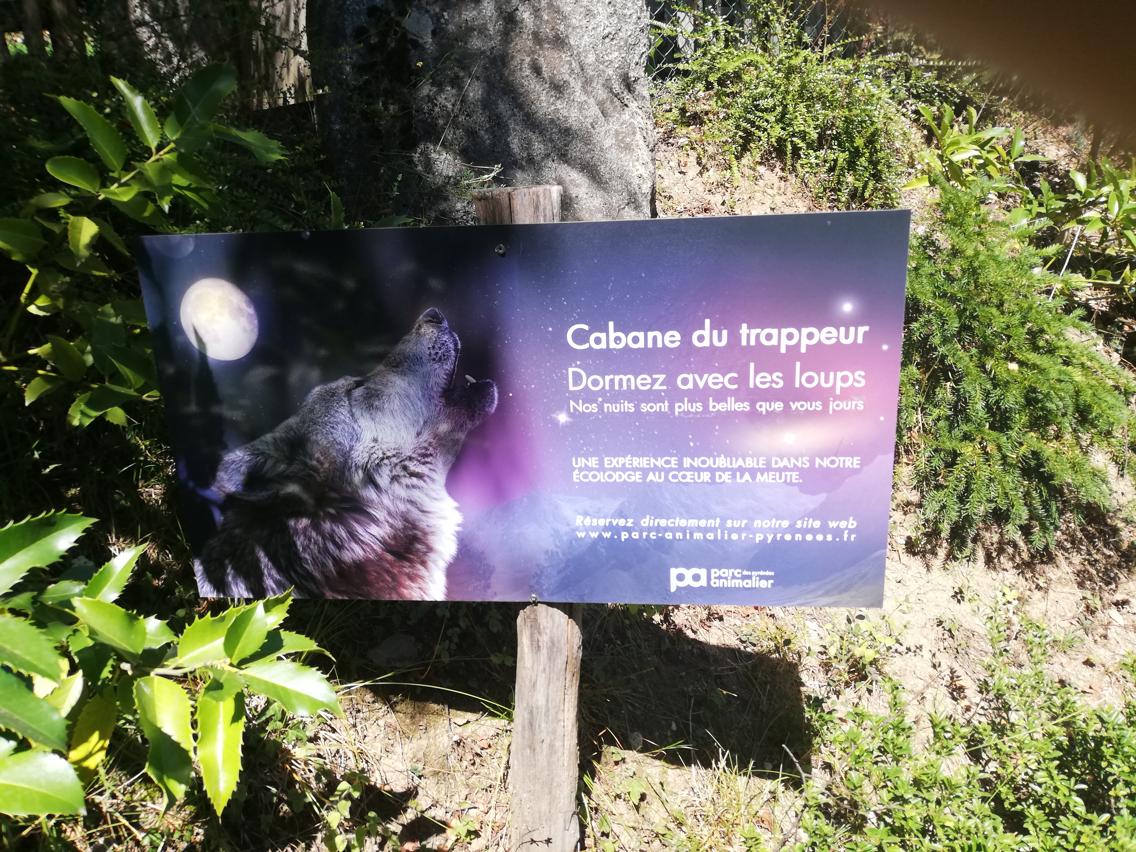 Photo n° 40 de l'avis de Soleil. fait le 20/08/2020 à 12:36