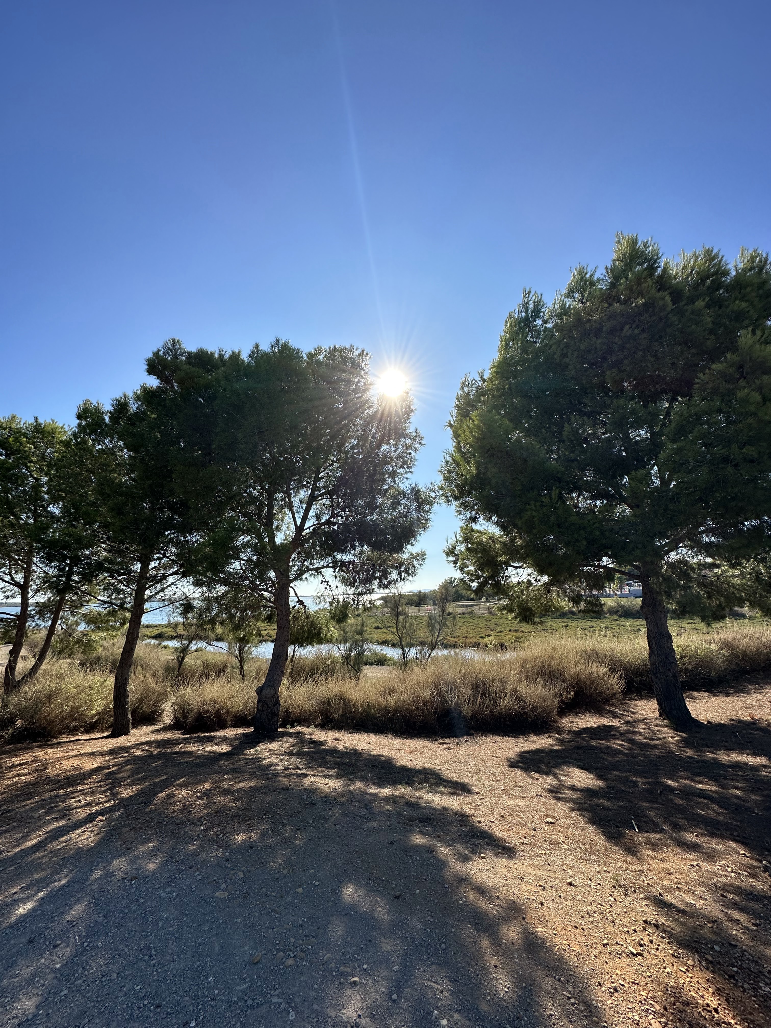Photo n° 1 de l'avis de Loubna.A fait le 30/09/2023 à 10:36