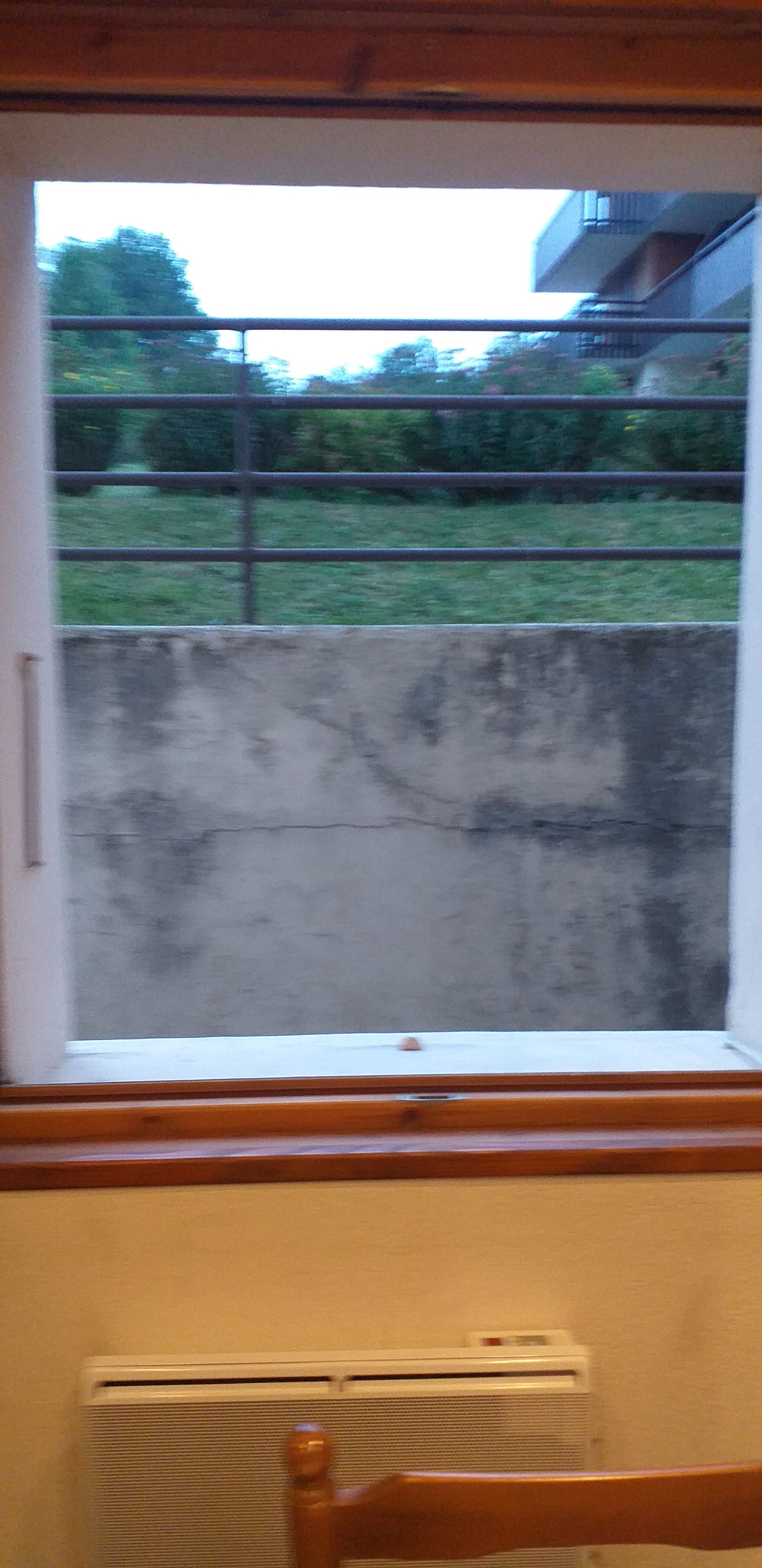 Photo n° 3 de l'avis de Robert.o fait le 21/07/2020 à 19:07