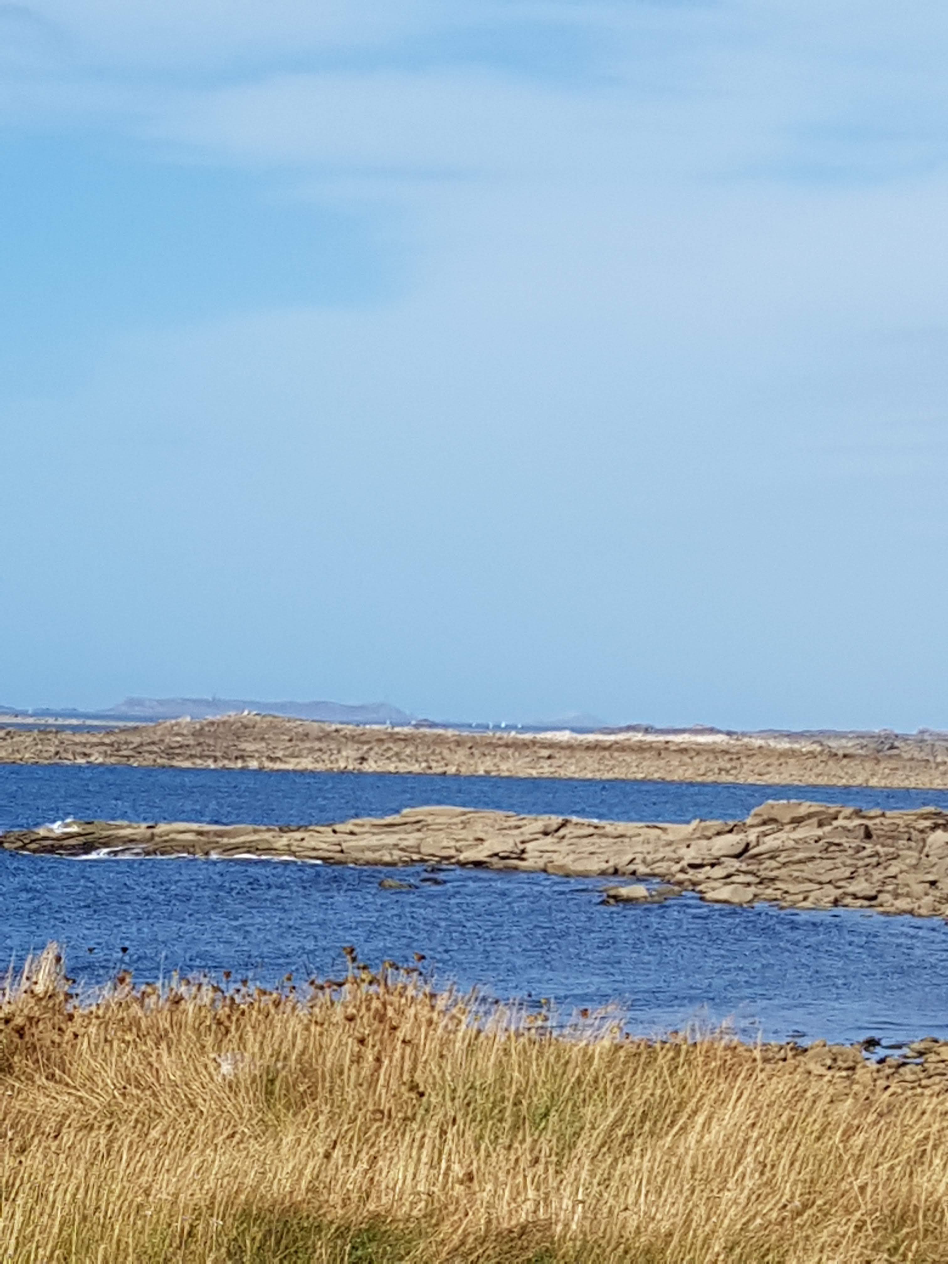 Photo n° 10 de l'avis de Nanou. fait le 22/08/2018 à 16:51