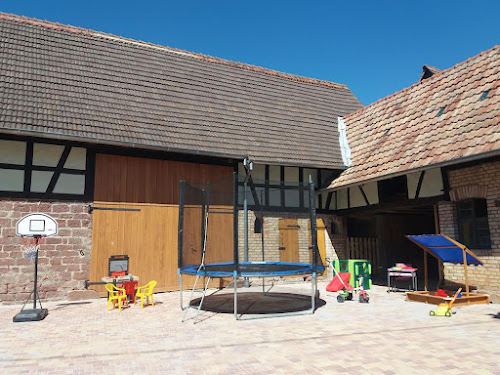 Lodge Gîte Les Cigogneaux (Alsace) Laubach