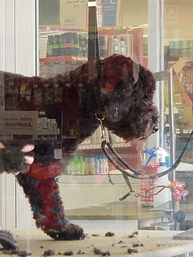 Pet Supply Store «Petco Animal Supplies», reviews and photos, 85 State St, Orem, UT 84058, USA