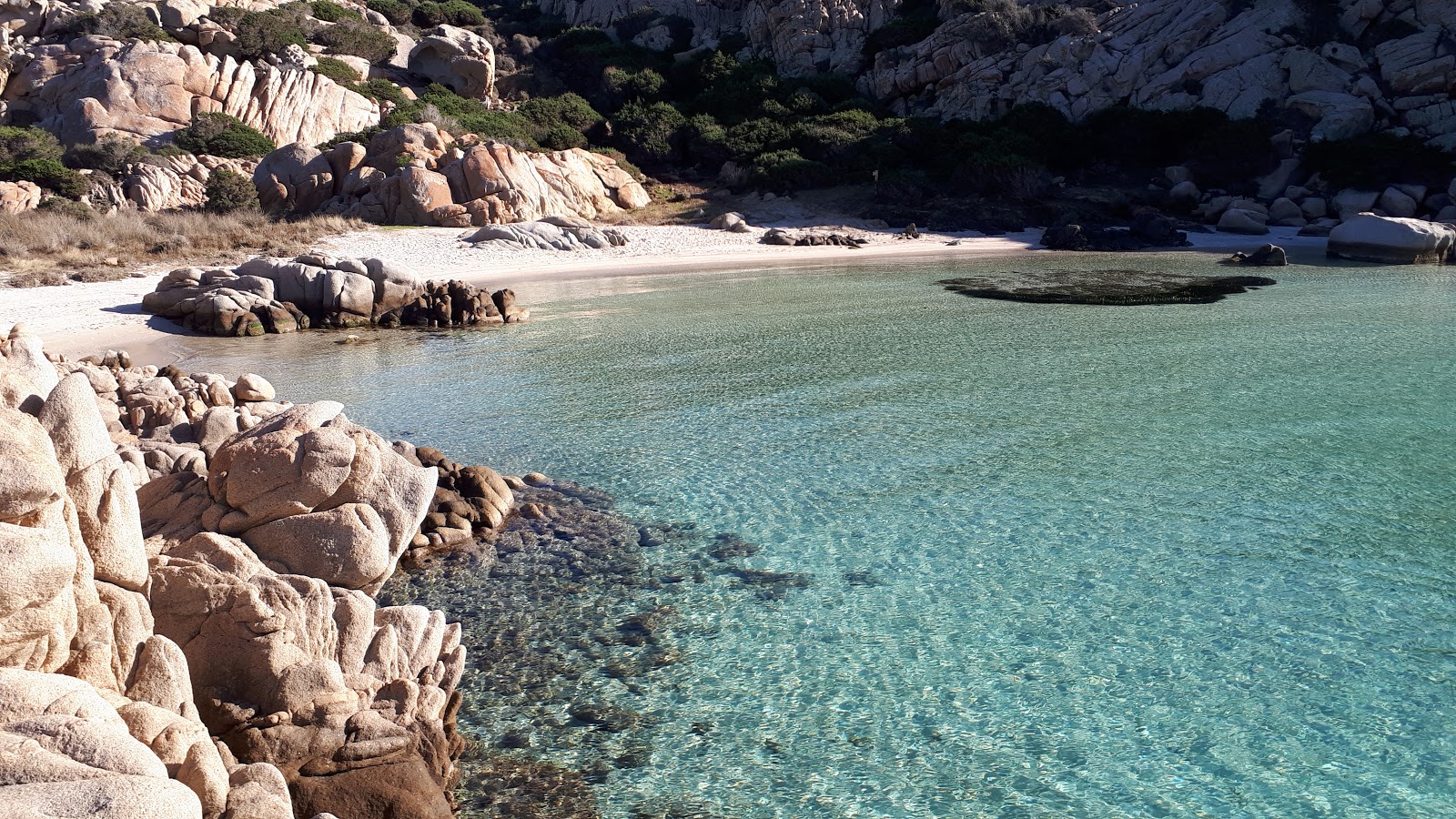 Cala Napoletana'in fotoğrafı vahşi alan