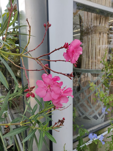 Garden Center «Quality Gardens», reviews and photos, 409 PA-228, Valencia, PA 16059, USA