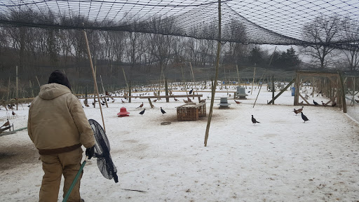 Sporting Goods Store «Andover Hunt and Fish», reviews and photos, 196 Main St, Andover, NJ 07821, USA