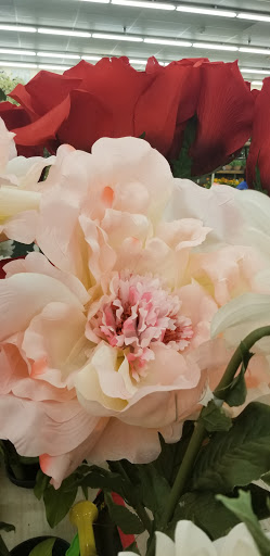 Craft Store «Hobby Lobby», reviews and photos, 2400 SW College Rd #500, Ocala, FL 34471, USA